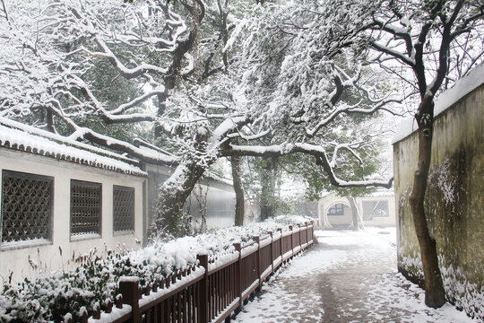 绍兴雪景鲁迅故里百草园