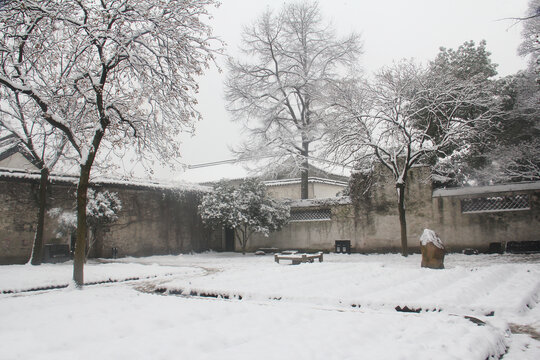 绍兴雪景鲁迅故里百草园