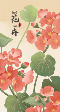 手繪旱金蓮
