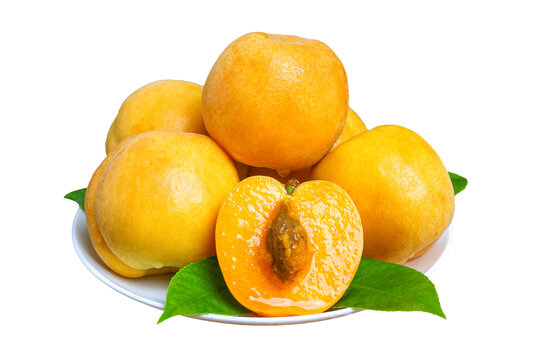 新鲜大黄杏