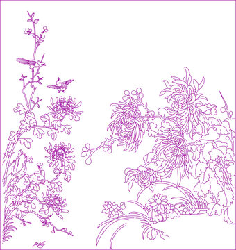 中秋菊花圖