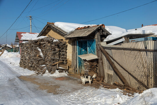 冬天雪村风光