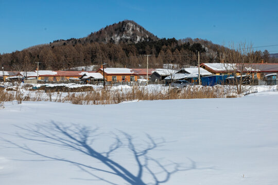 冬天雪村风光