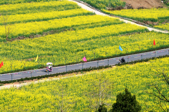 乡村公路