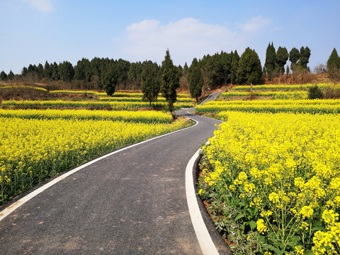 农村公路