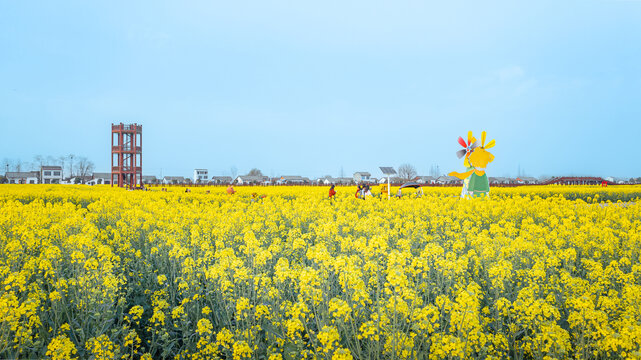 岳阳油菜花田盛开