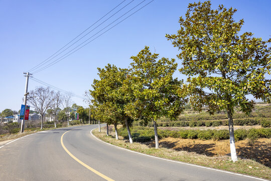 南京江宁黄龙岘乡村公路