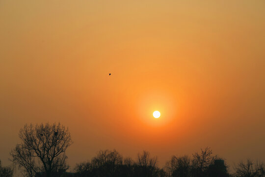 北京后海夕落景色