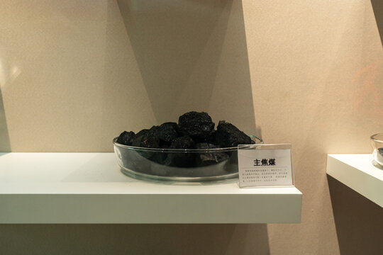 七台河博物馆展示的原煤
