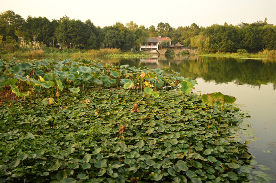 杭州西湖