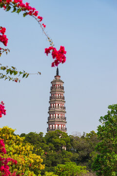 佛山顺峰山公园青云塔建筑风景