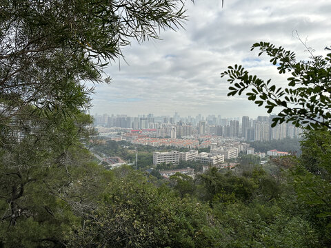 厦门户外风景