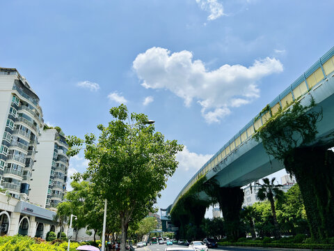 厦门户外风景