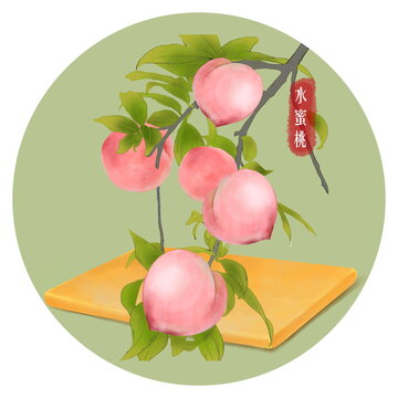 水蜜桃手绘