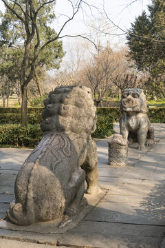 京明孝陵石象路狮子雕塑