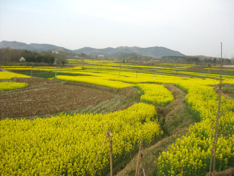 田园美景