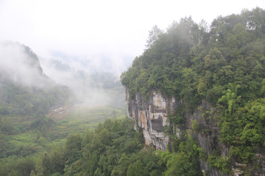 云雾缭绕的山野