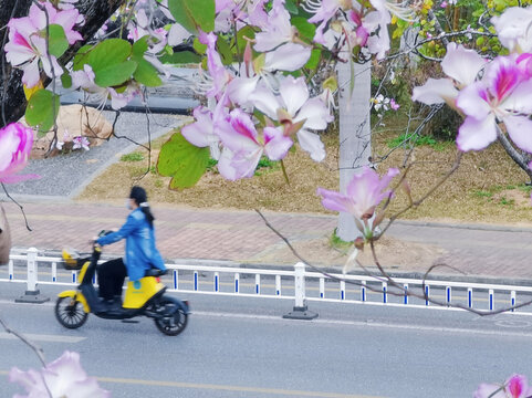 电动车