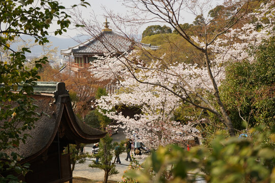 日本京都春季