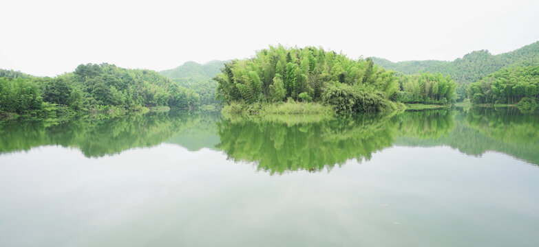 生态竹根水