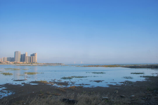 泉州湾湿地风光