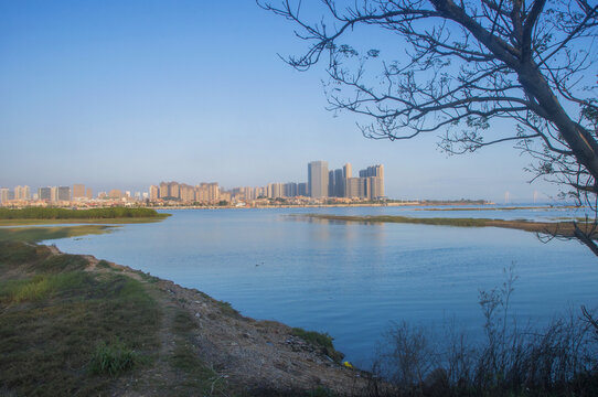 泉州湾海岸风景