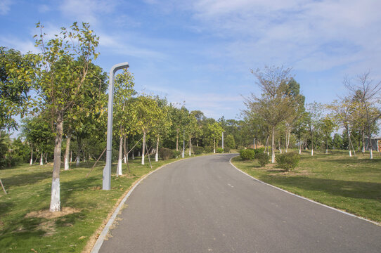 崎山公园沥青步道