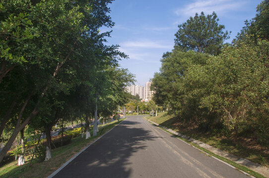 晋江崎山道路