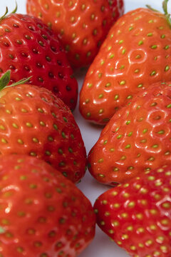 草莓新鲜水果草莓