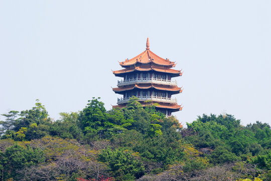 风景