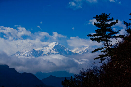 牛背山