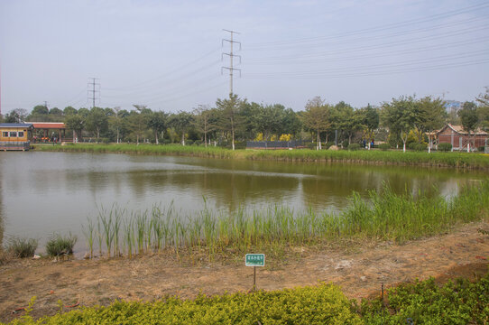 东山水系公园湖岸风景