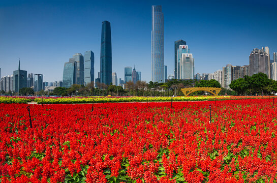 广州海心沙亚运公园花海风景