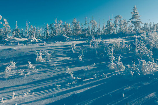 山坡雪地大雪雾凇