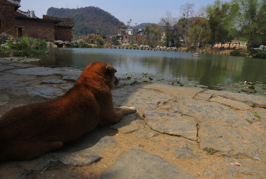 民居