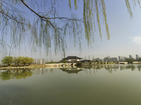 国际会议中心春景