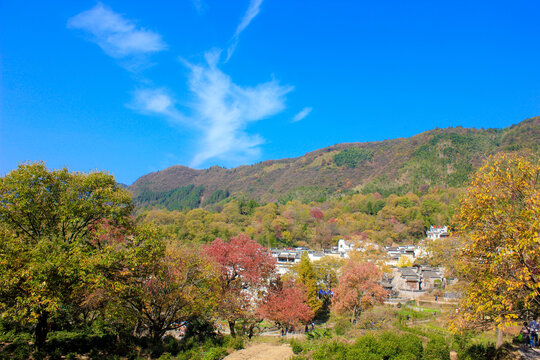 塔川秋色