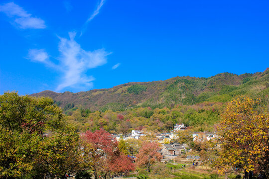 塔川秋色