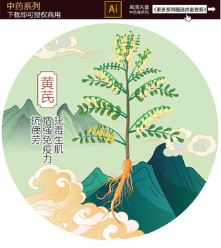 黃芪