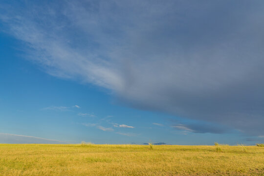 新疆蓝天白云下的草地