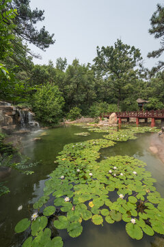 中国北戴河的联峰山公园