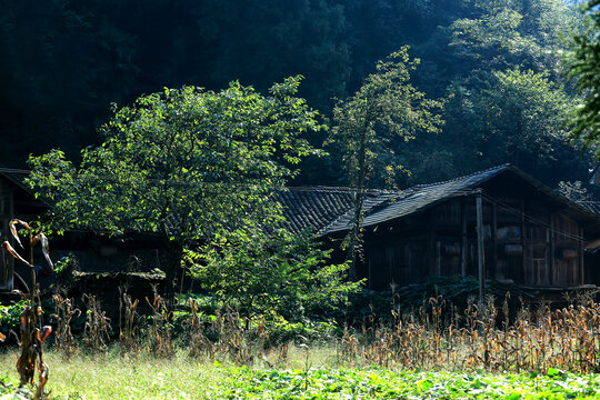 农家院