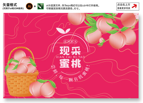 桃子插畫