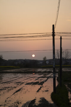 田间夕阳