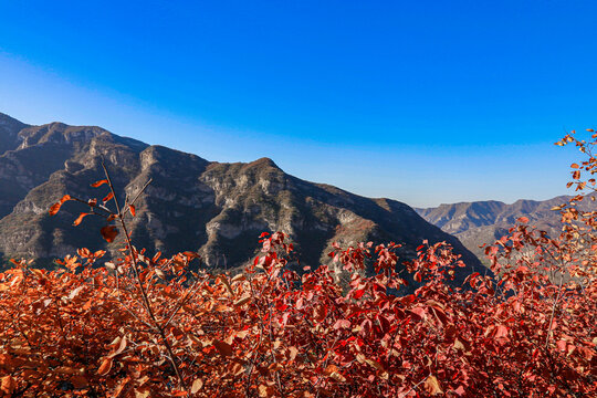 坡峰岭秋景