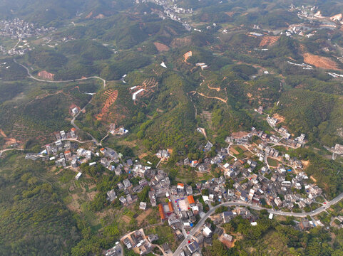 高州设教村美丽乡村