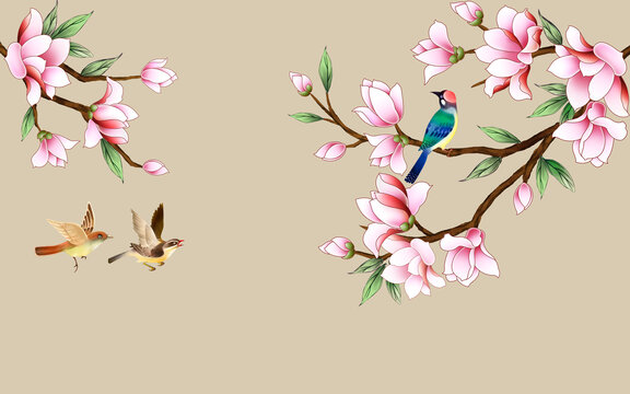 粉色玉蘭花