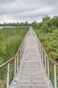 哈尔滨湖边建筑绿地栈桥