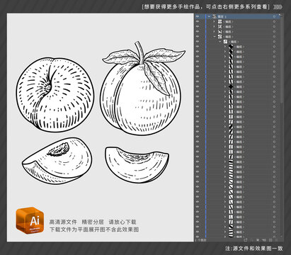 桃果手繪插圖