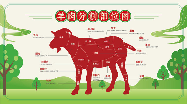 羊肉部位圖